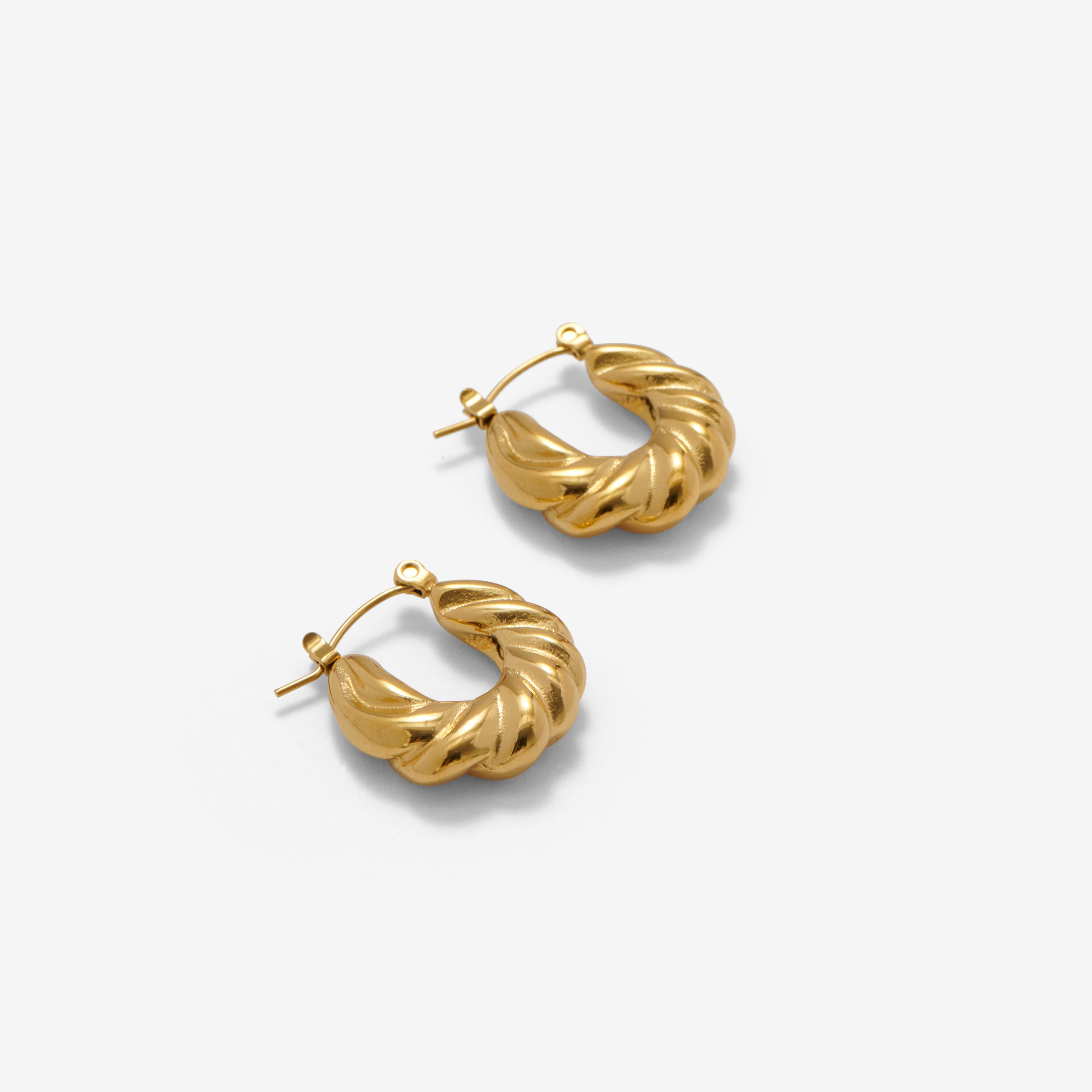 Twisted Earrings
